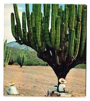 Le Mexique que j’aime, Editions Sun, 1967