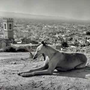 © Daniel Baudraz, Errance, 1994