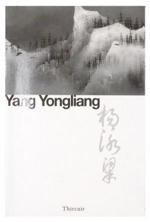 Yang Yongliang, David Rosenberg, Editions Thircuir, 2011