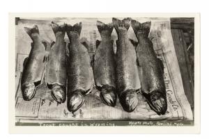 Hunters with Muskrat Pelts Tipton, Indiana, USA 11 novembre 1923 © collection privée – AMC